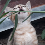 7 Alasan Kenapa Kita Kadang Harus Pura-Pura Nggak Tahu