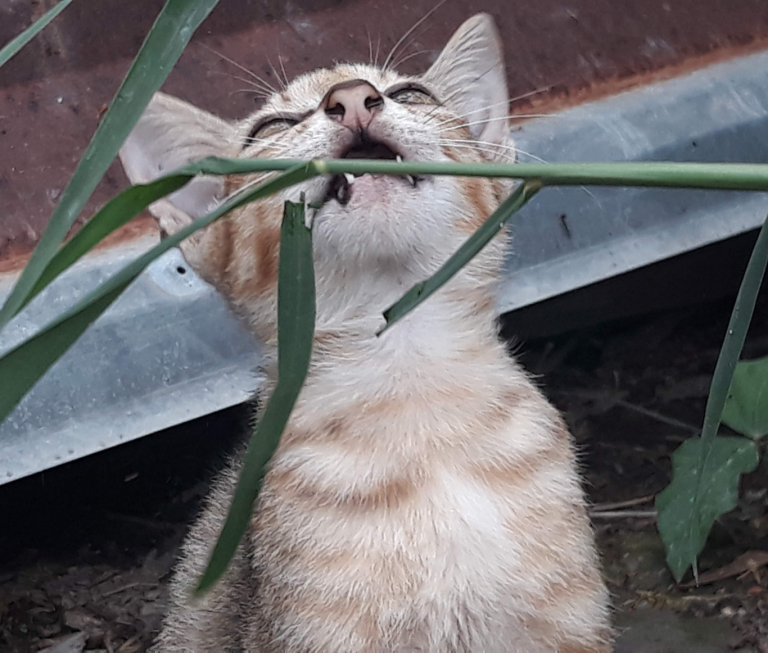 7 Alasan Kenapa Kita Kadang Harus Pura-Pura Nggak Tahu